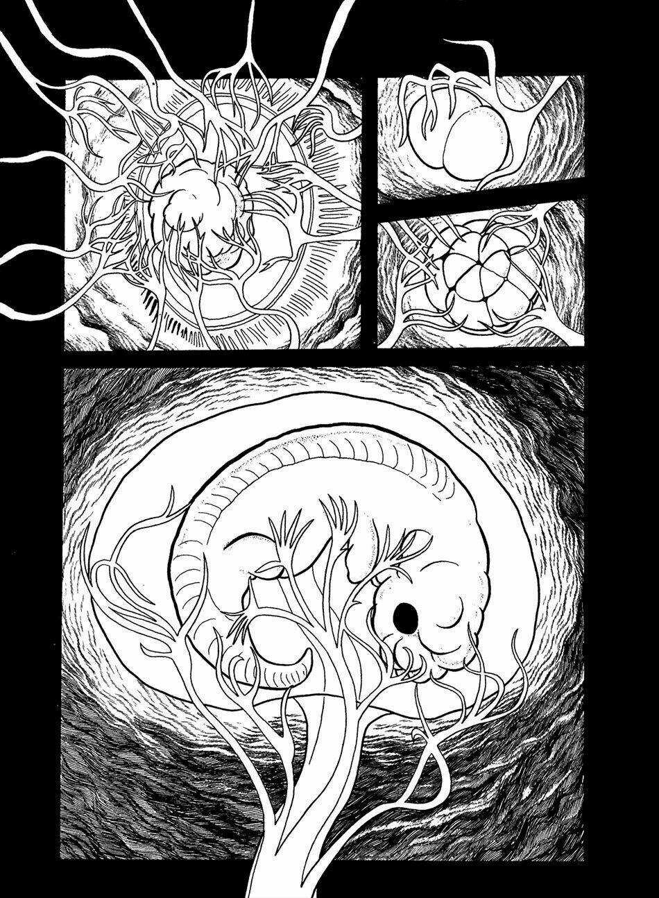 Apollo’s Song - Chapter 0 - Trang 11