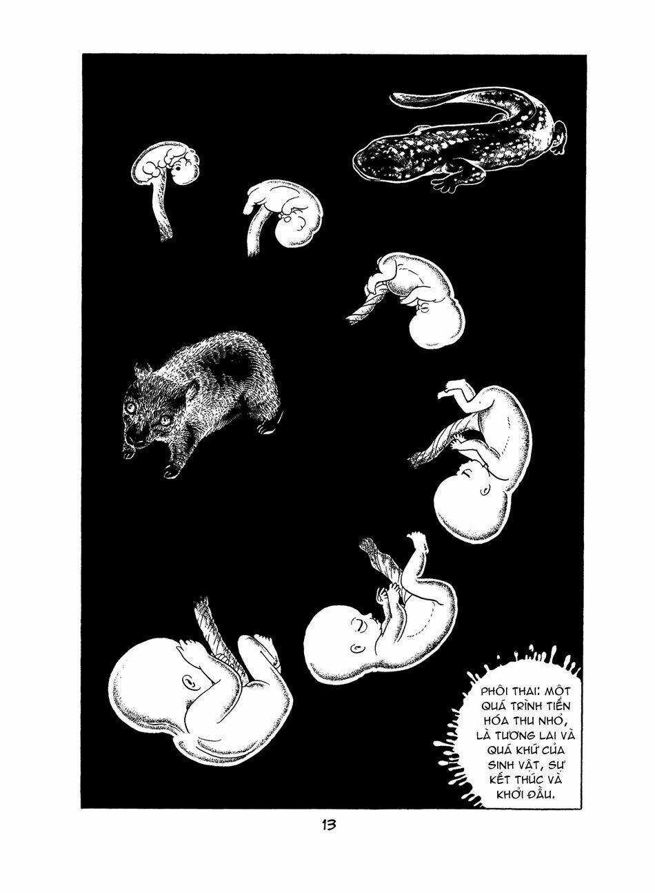 Apollo’s Song - Chapter 0 - Trang 12