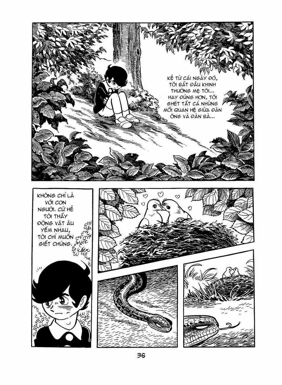 Apollo’s Song - Chapter 0 - Trang 35