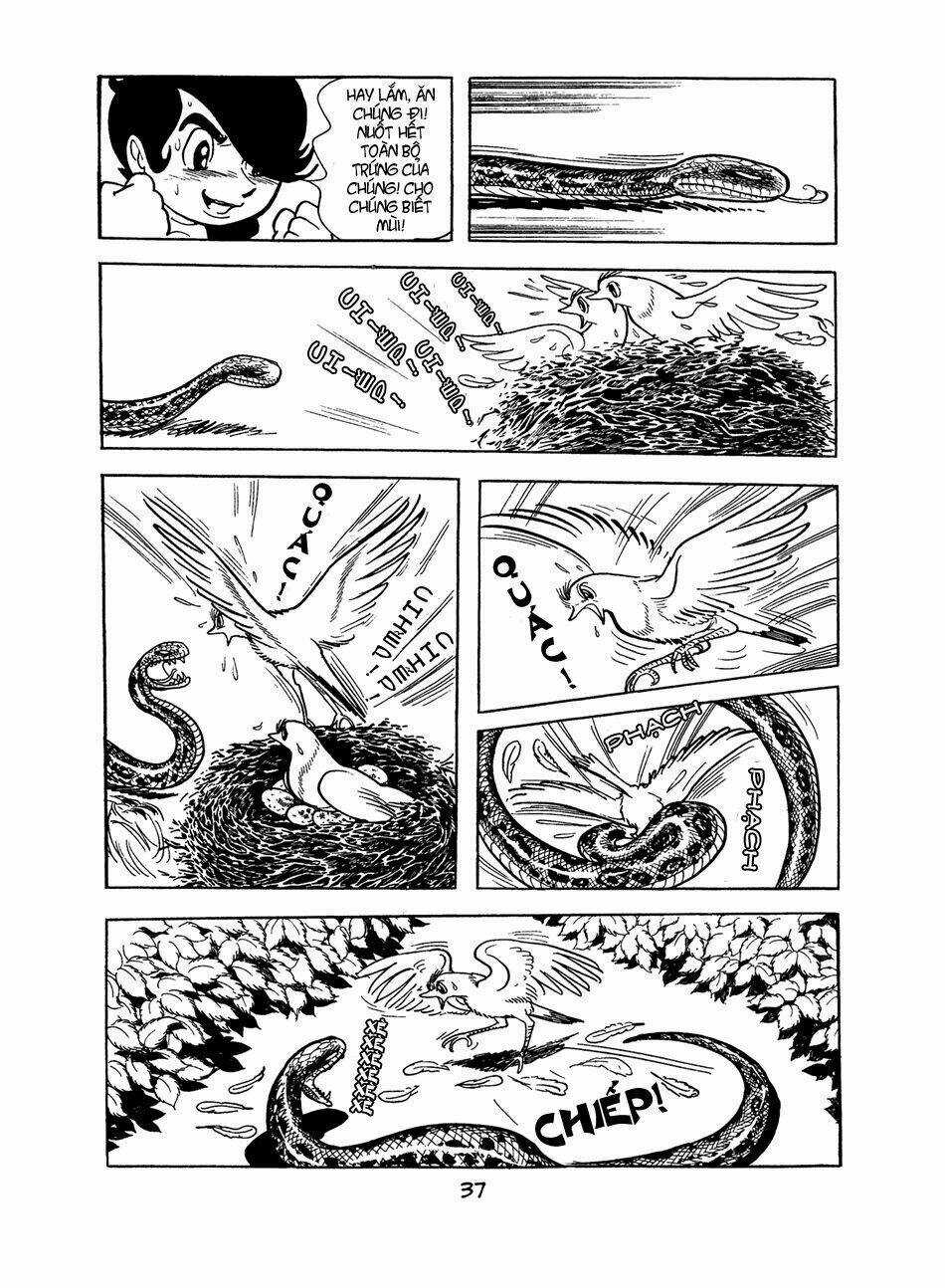 Apollo’s Song - Chapter 0 - Trang 36