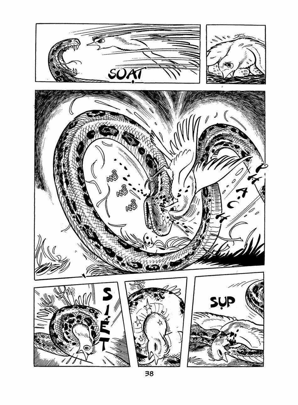 Apollo’s Song - Chapter 0 - Trang 37