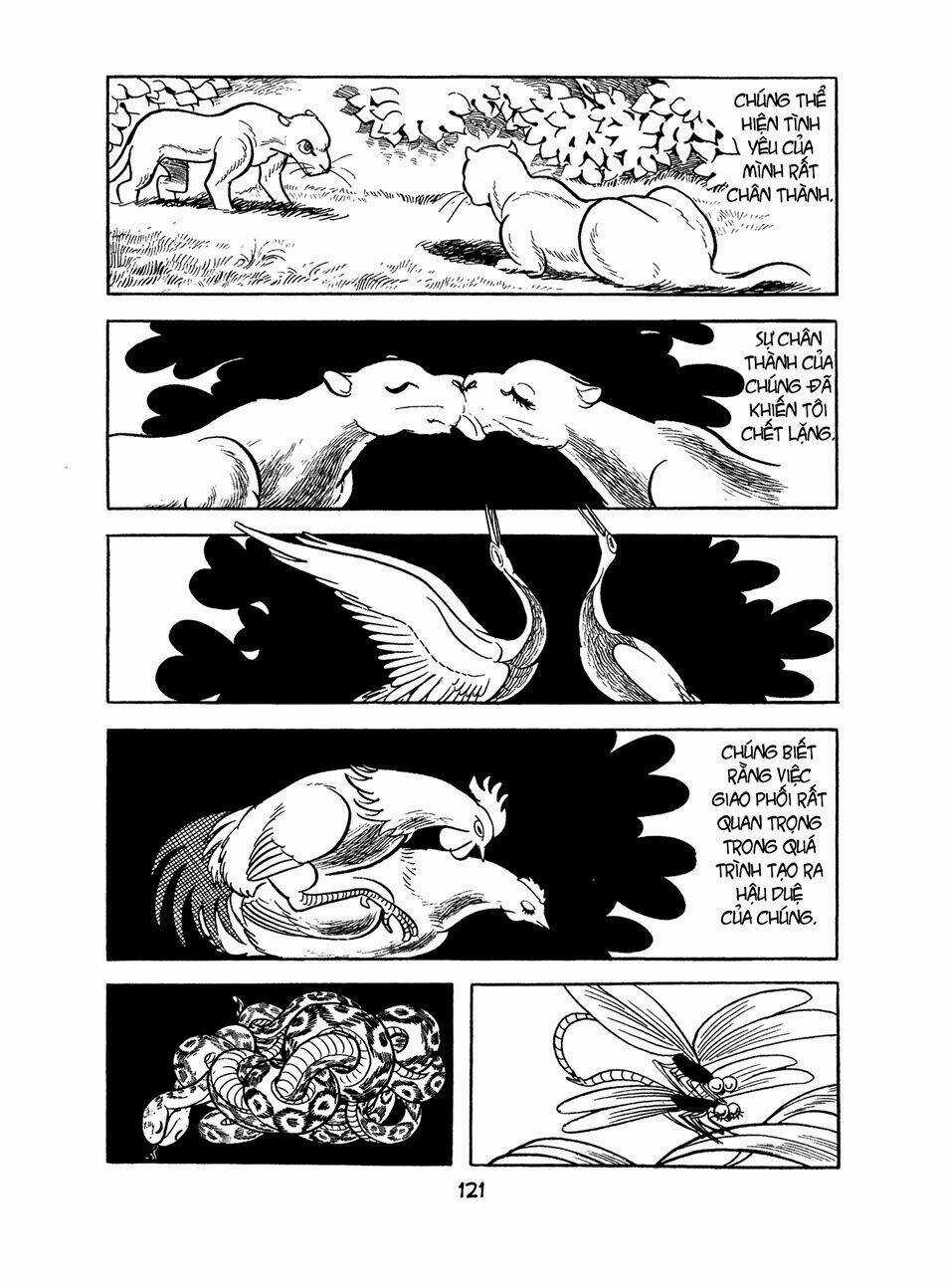 Apollo’s Song - Chapter 2.1 - Trang 42