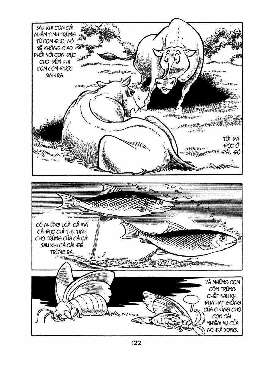 Apollo’s Song - Chapter 2.1 - Trang 43