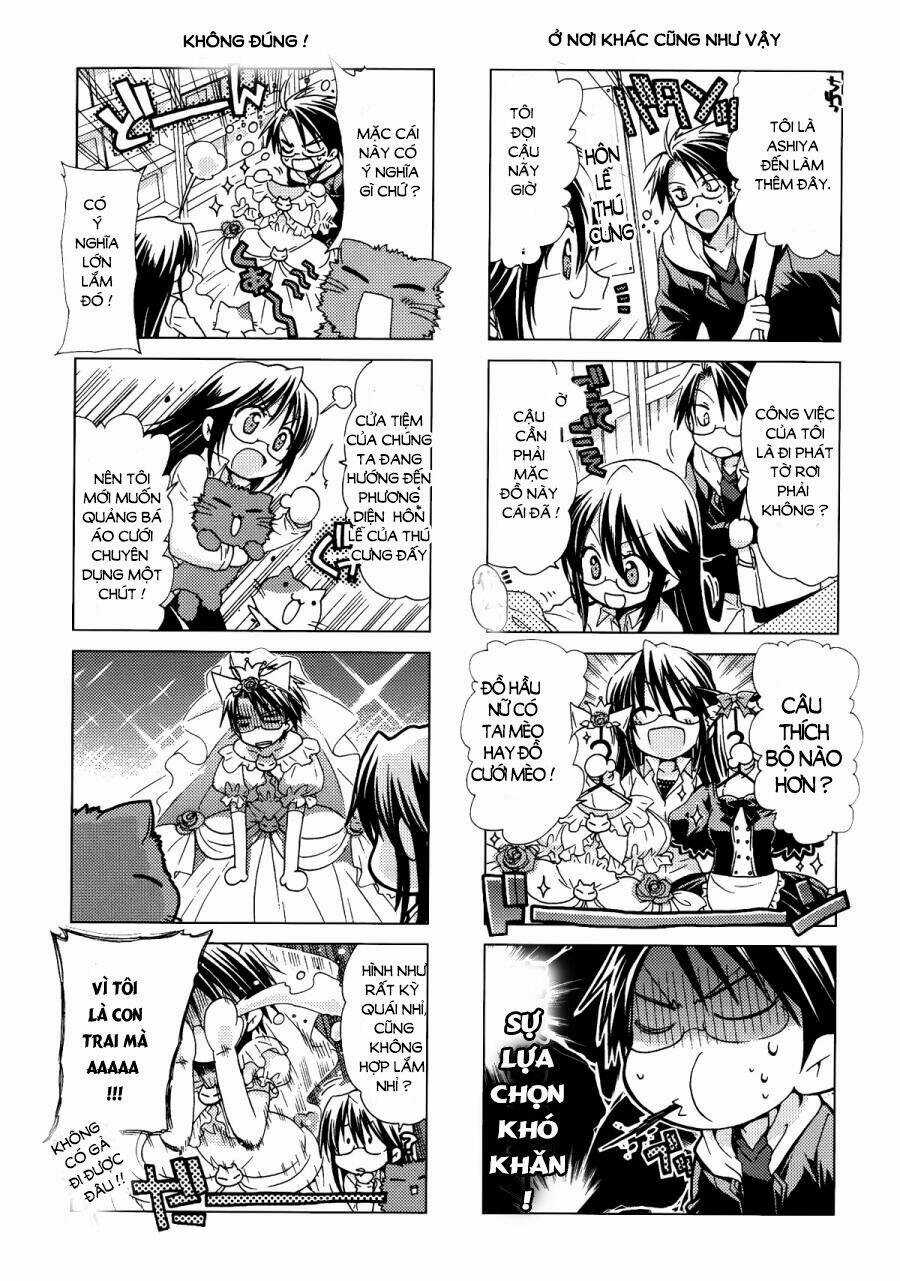 Ashiya-San No Neko - Chapter 11 - Trang 6