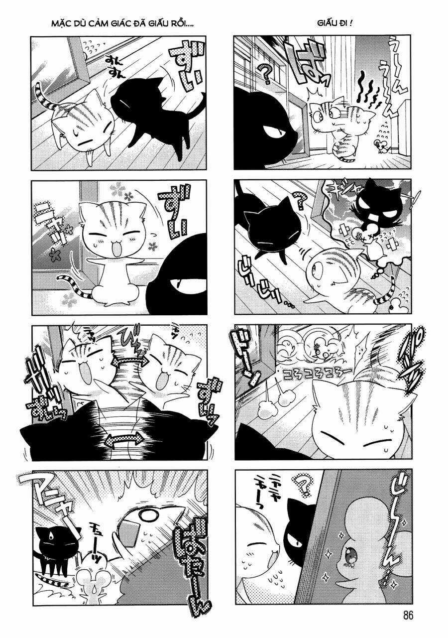 Ashiya-San No Neko - Chapter 11 - Trang 7