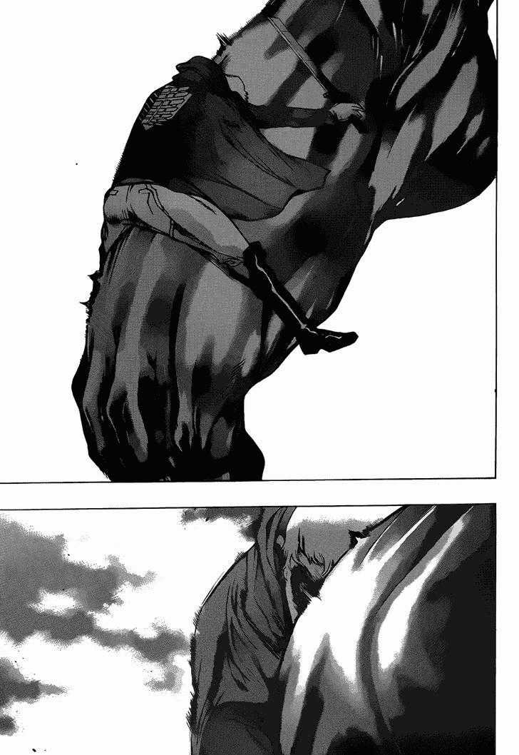 Attack On Titans - Before The Fall - Chapter 8 - Trang 29