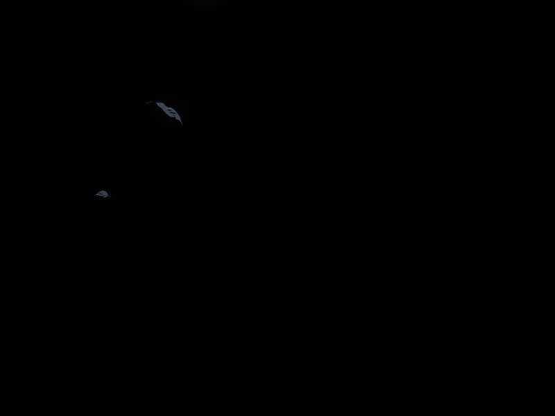 Bá Vương Chi Tinh - Chapter 2.5 - Trang 62