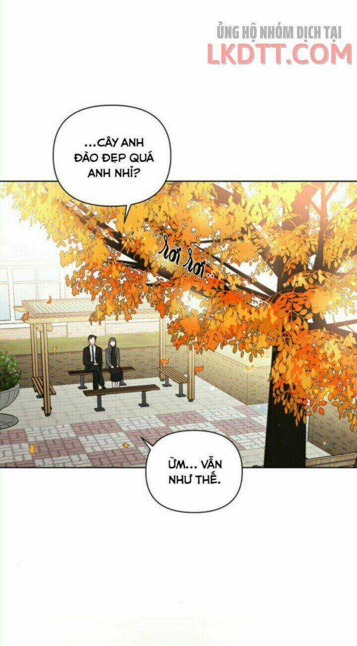 Baby Đến Rồi! - Chapter 65 - Trang 17