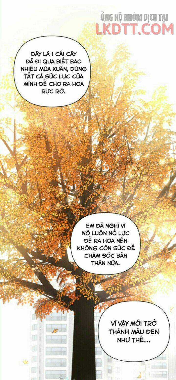 Baby Đến Rồi! - Chapter 65 - Trang 18