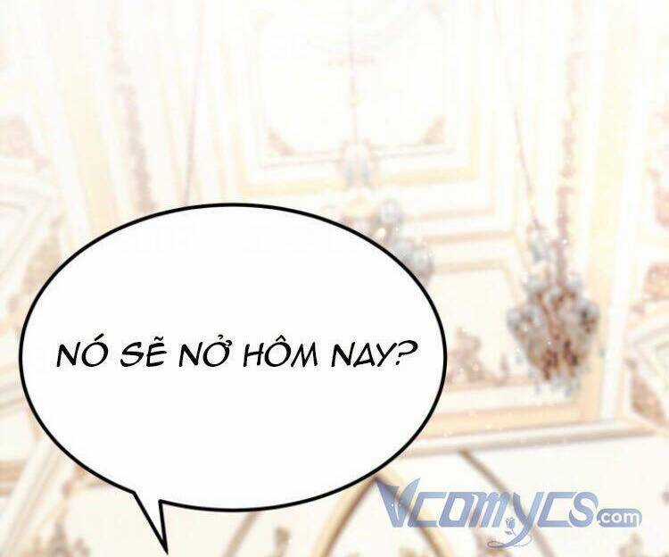 Baby Dragon - Chapter 1 - Trang 91