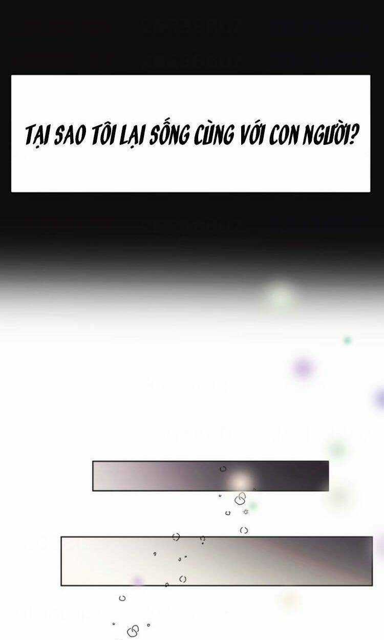 Baby Dragon - Chapter 11 - Trang 16