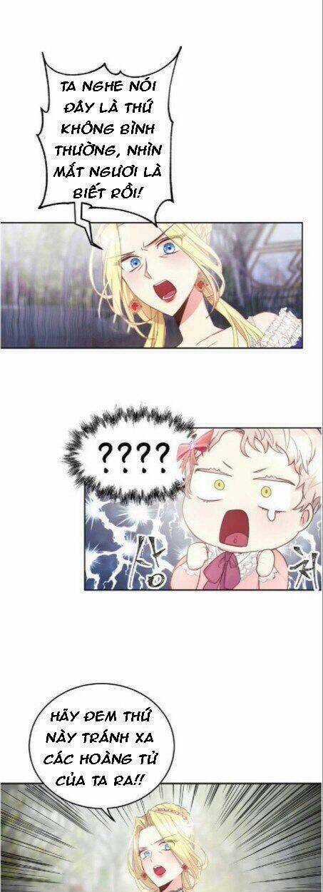 Baby Dragon - Chapter 5 - Trang 31