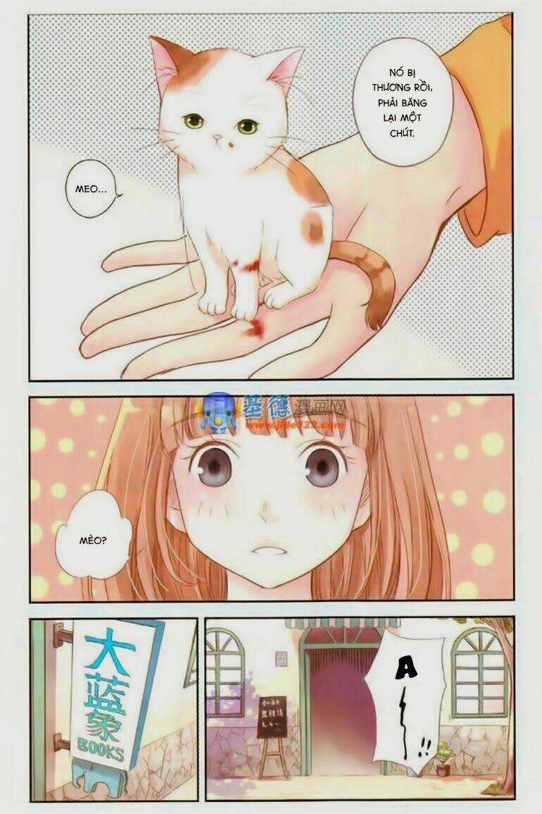 Bạc Hà Chi Hạ - Chapter 2 - Trang 11