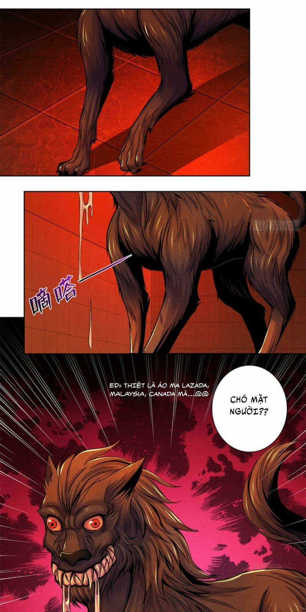 Bác Sĩ Hỗn Mang - Chapter 31 - Trang 11