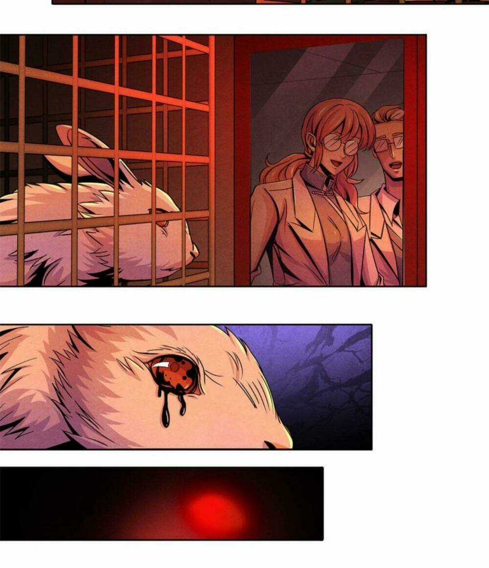 Bác Sĩ Hỗn Mang - Chapter 31 - Trang 5