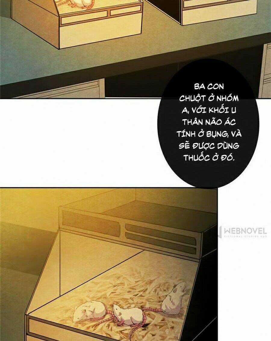 Bác Sĩ Hỗn Mang - Chapter 7 - Trang 31