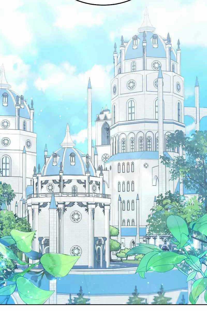 Bác Sĩ Phẫu Thuật Cấp Sss - Chapter 31 - Trang 34