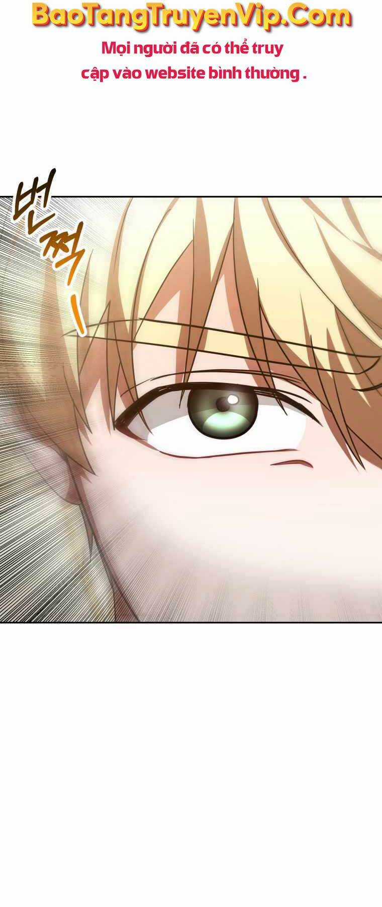 Bác Sĩ Phẫu Thuật Cấp Sss - Chapter 8 - Trang 11