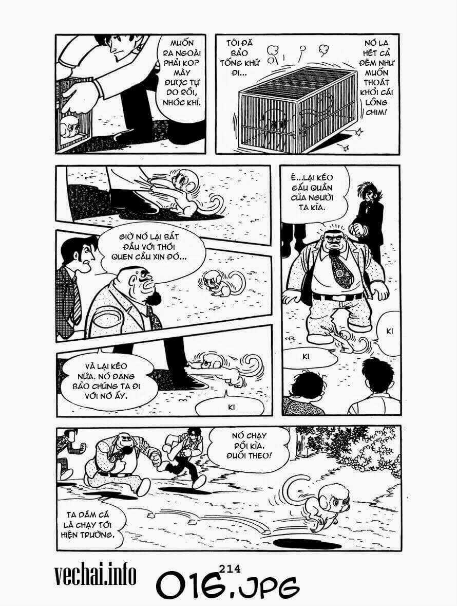 Bác Sĩ Quái Dị - Chapter 149 - Trang 16