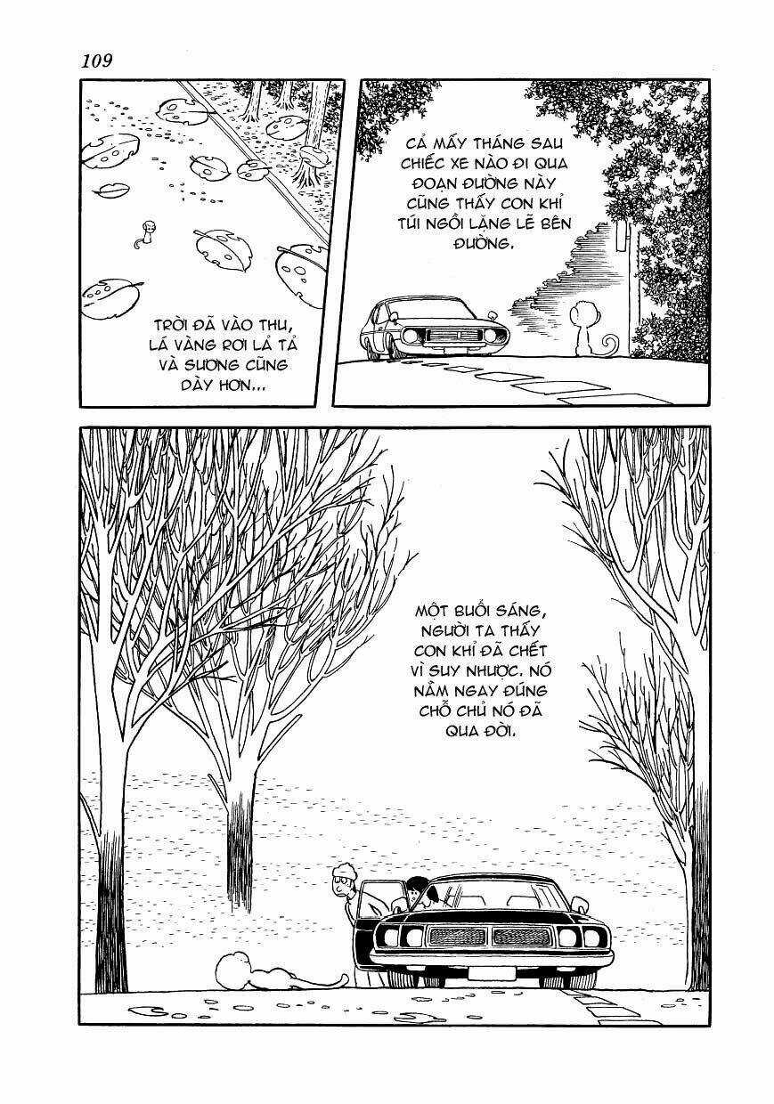 Bác Sĩ Quái Dị - Chapter 154 - Trang 21