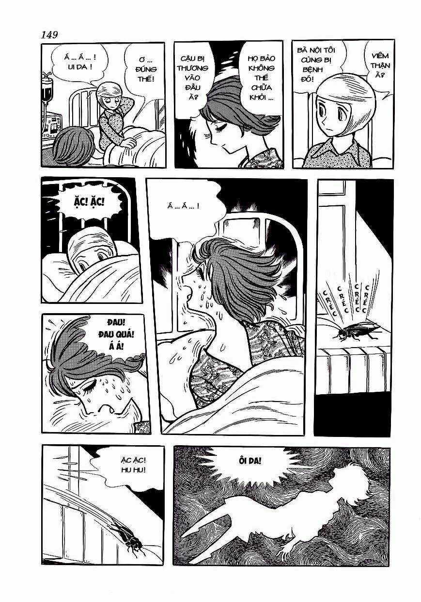 Bác Sĩ Quái Dị - Chapter 177 - Trang 12
