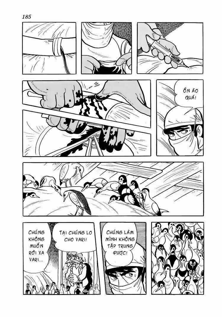 Bác Sĩ Quái Dị - Chapter 38 - Trang 11