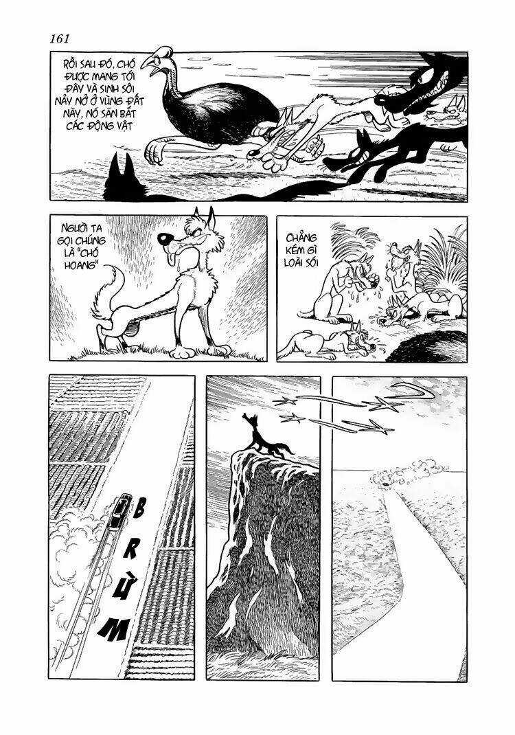 Bác Sĩ Quái Dị - Chapter 47 - Trang 5