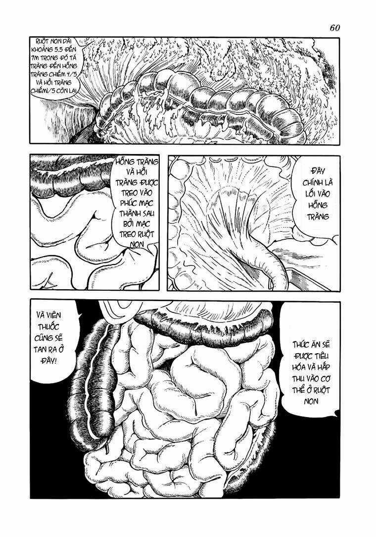 Bác Sĩ Quái Dị - Chapter 52 - Trang 10