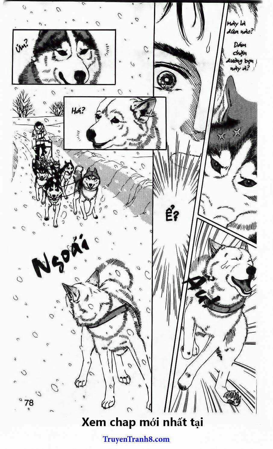 Bác Sĩ Thú Y - Chapter 103 - Trang 16