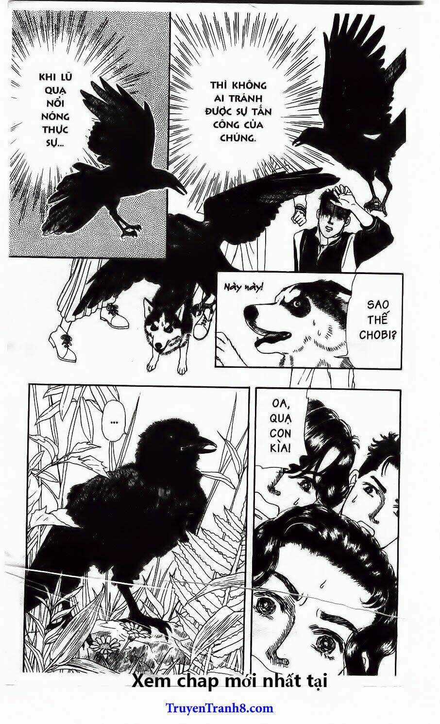 Bác Sĩ Thú Y - Chapter 110 - Trang 16