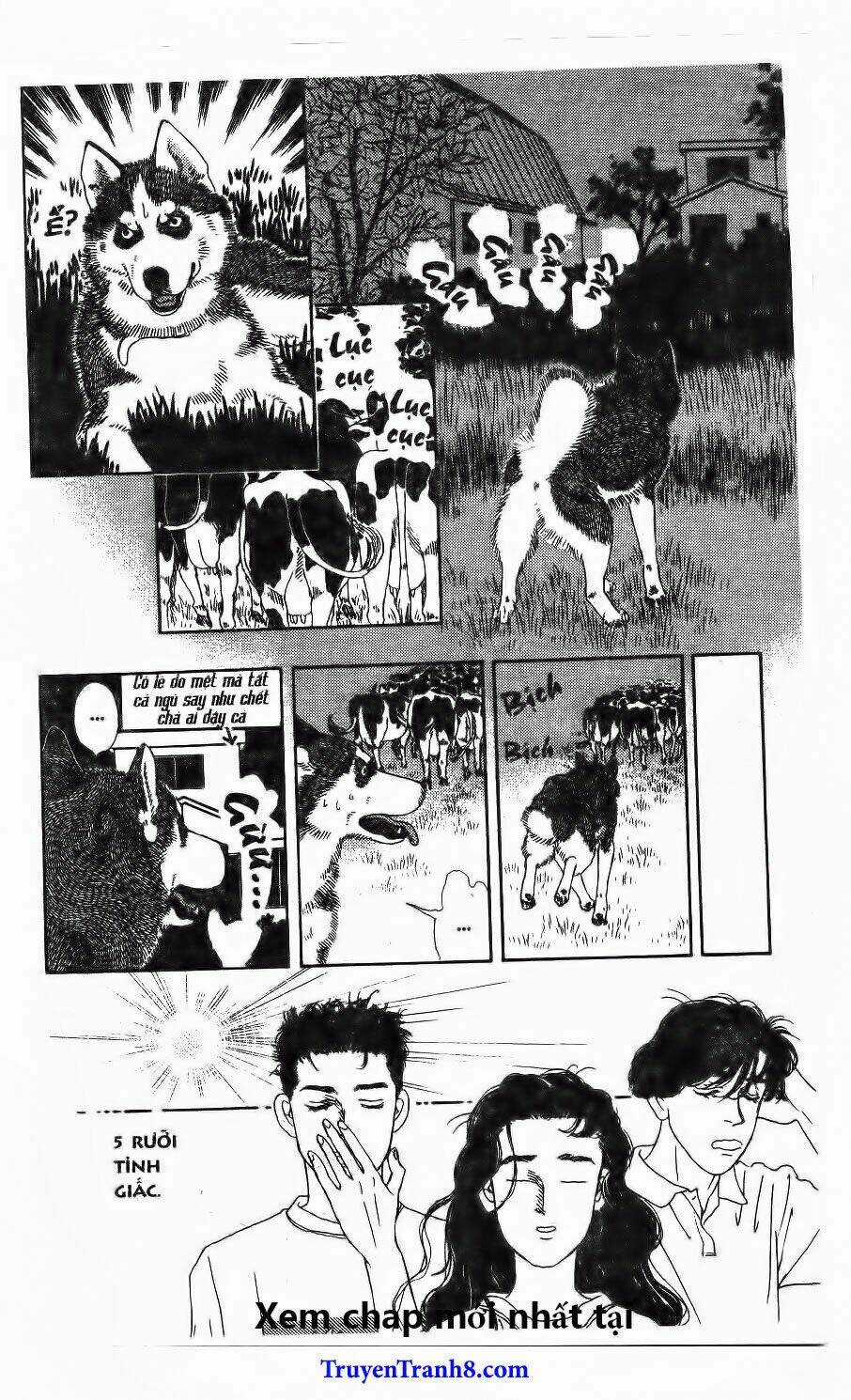 Bác Sĩ Thú Y - Chapter 112 - Trang 12