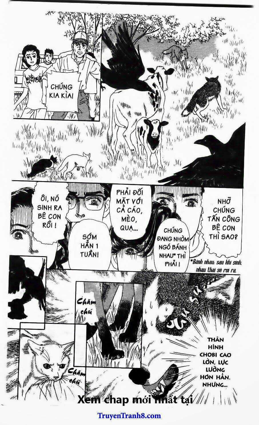 Bác Sĩ Thú Y - Chapter 112 - Trang 19