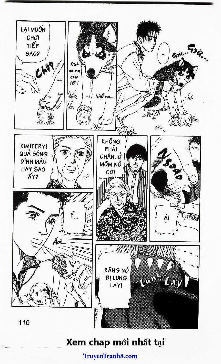 Bác Sĩ Thú Y - Chapter 115 - Trang 12