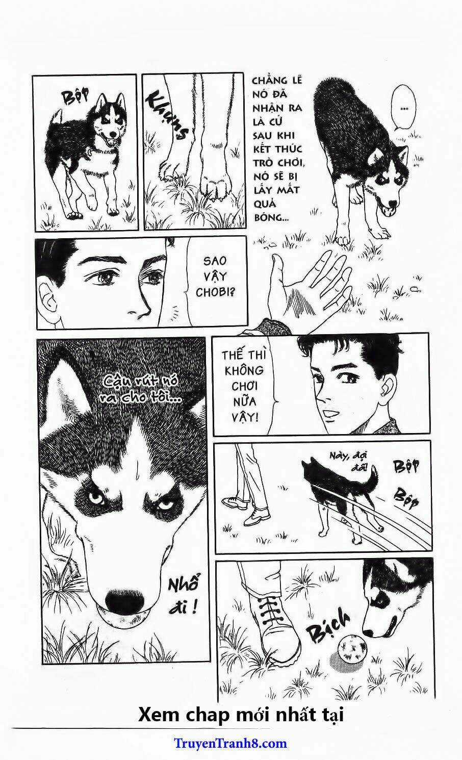 Bác Sĩ Thú Y - Chapter 115 - Trang 13