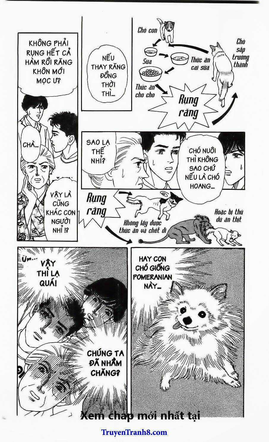 Bác Sĩ Thú Y - Chapter 115 - Trang 17