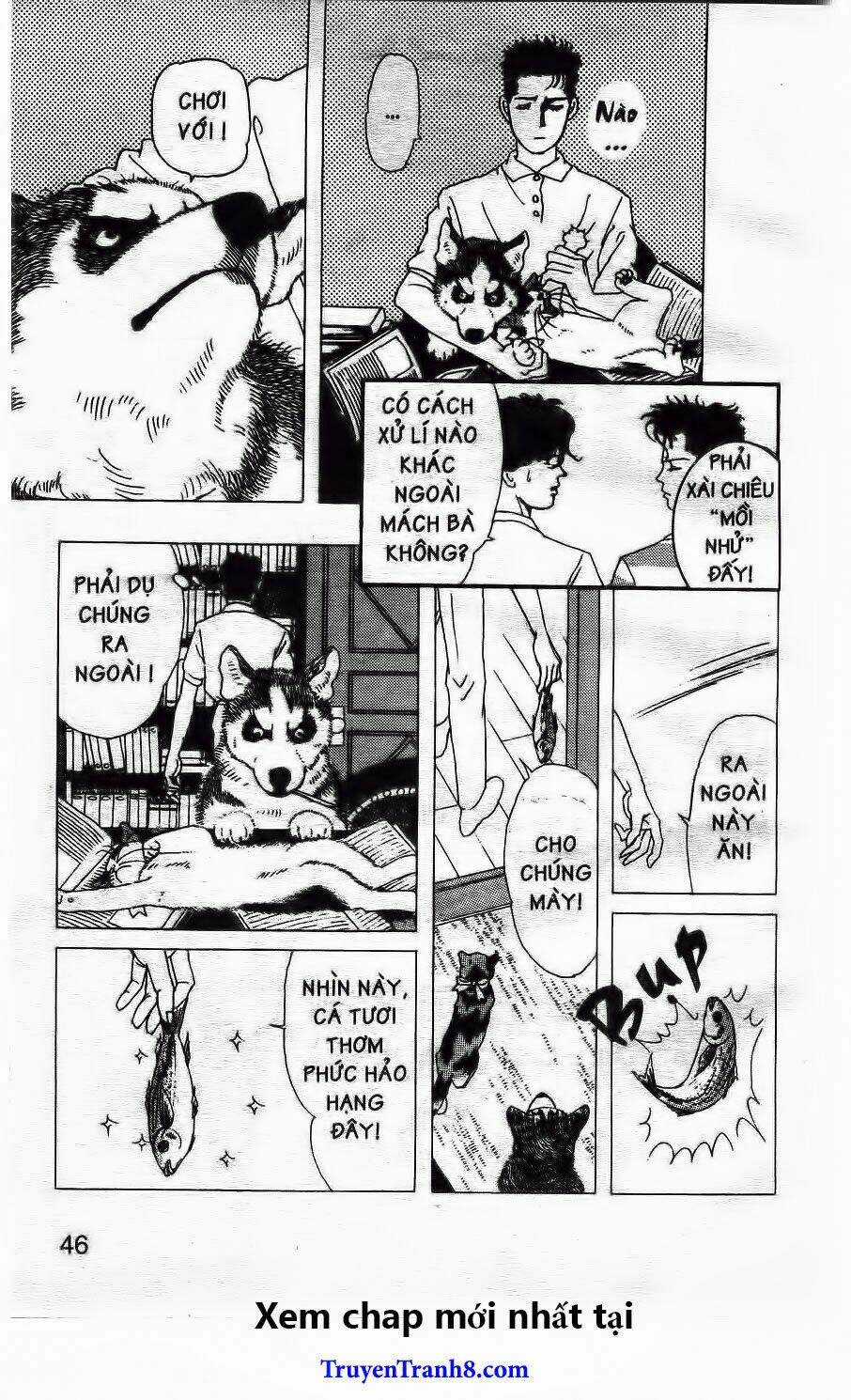 Bác Sĩ Thú Y - Chapter 14 - Trang 11