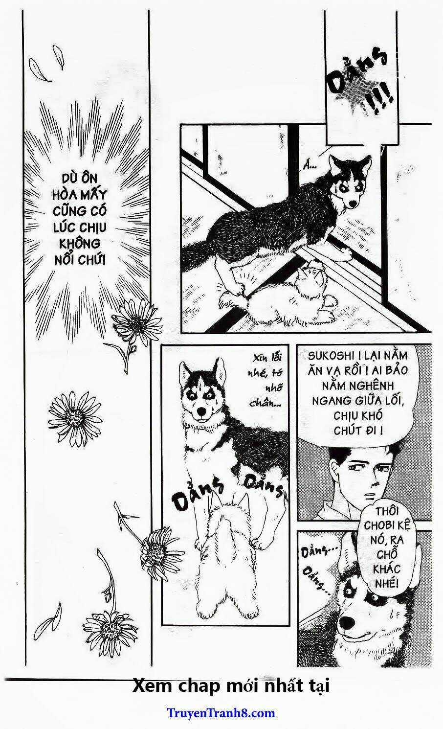 Bác Sĩ Thú Y - Chapter 20 - Trang 16