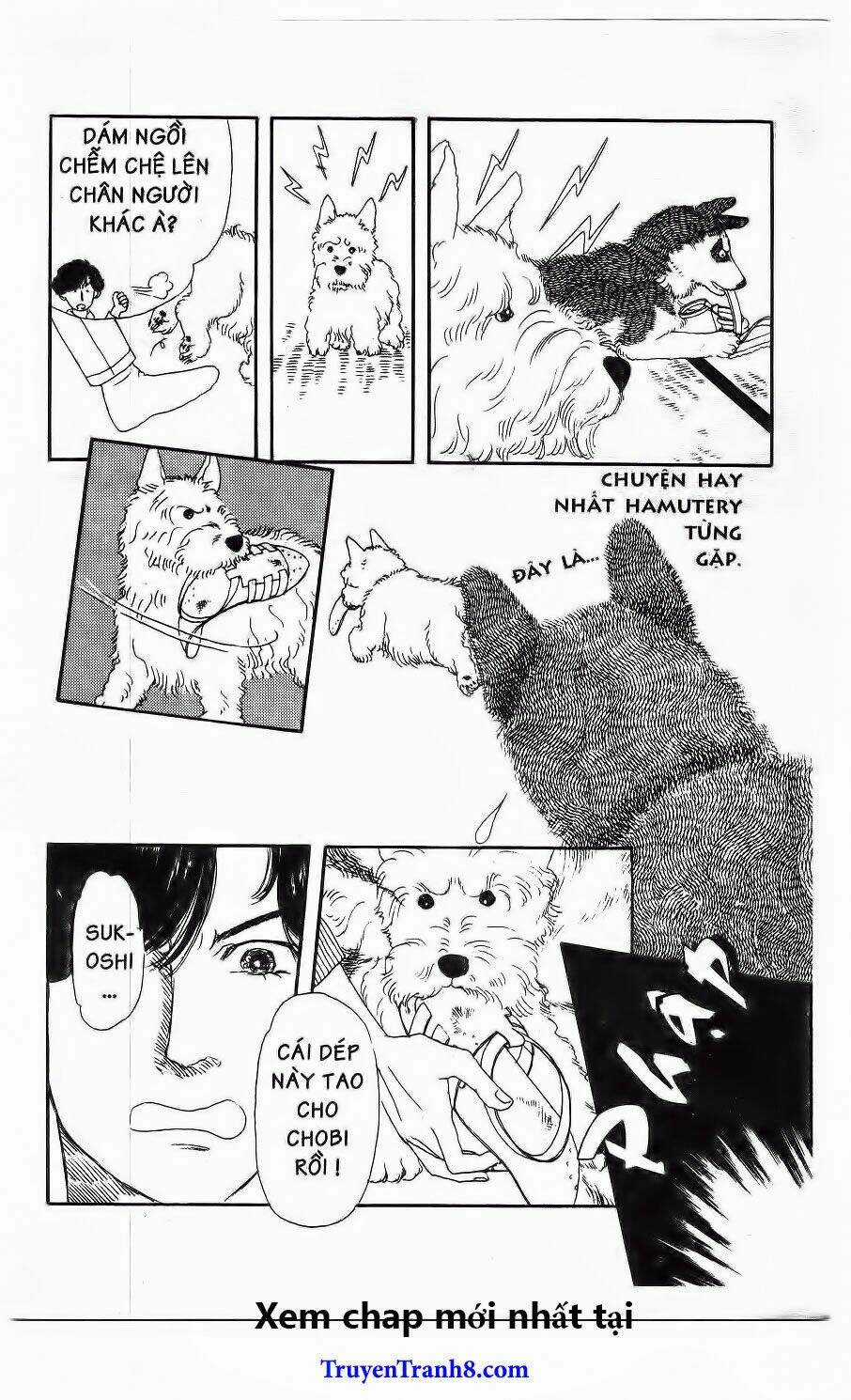 Bác Sĩ Thú Y - Chapter 20 - Trang 22