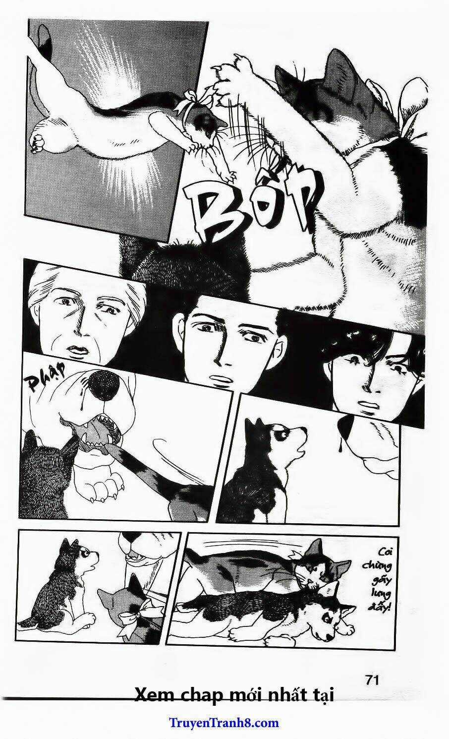 Bác Sĩ Thú Y - Chapter 26 - Trang 19