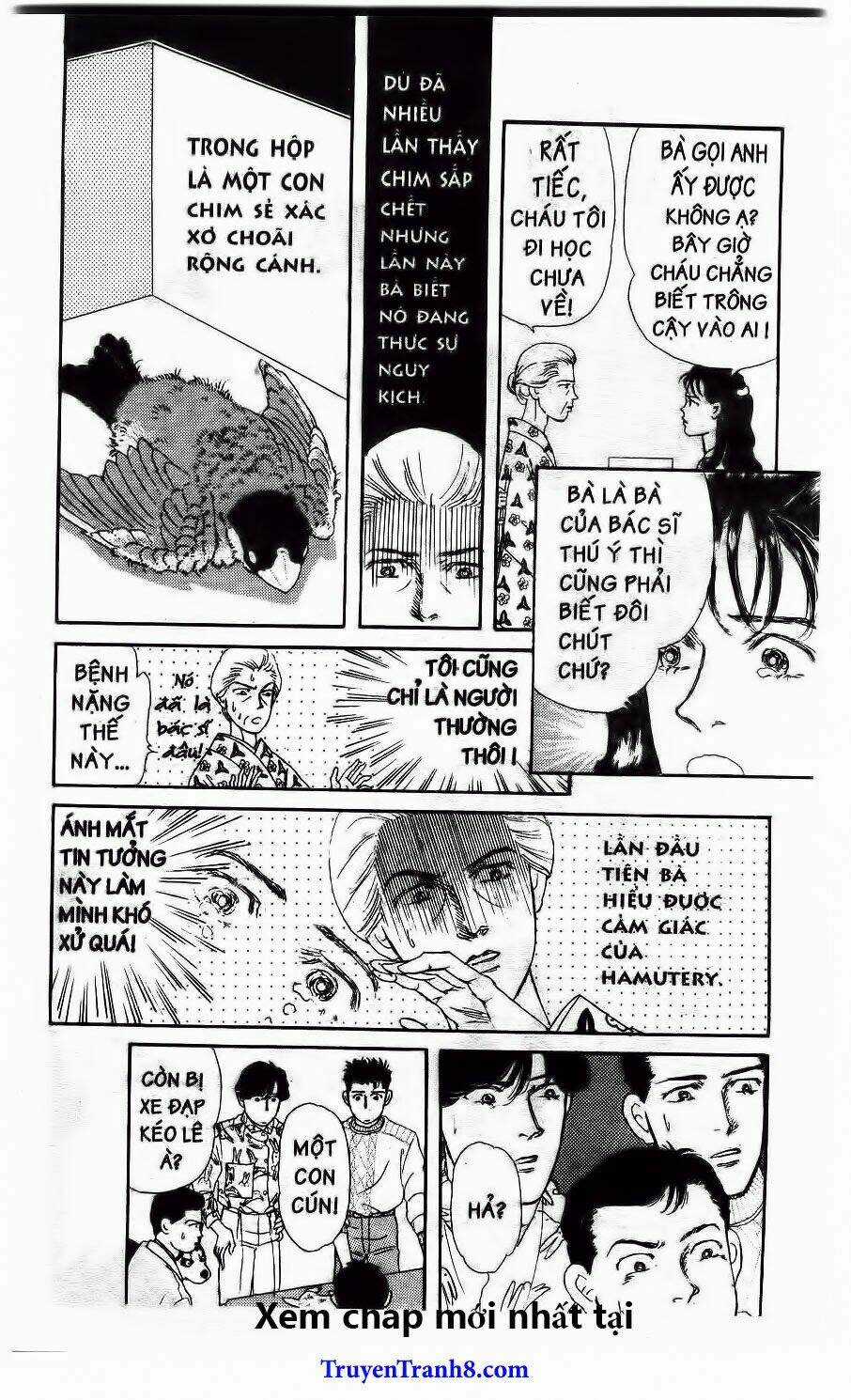 Bác Sĩ Thú Y - Chapter 32 - Trang 12