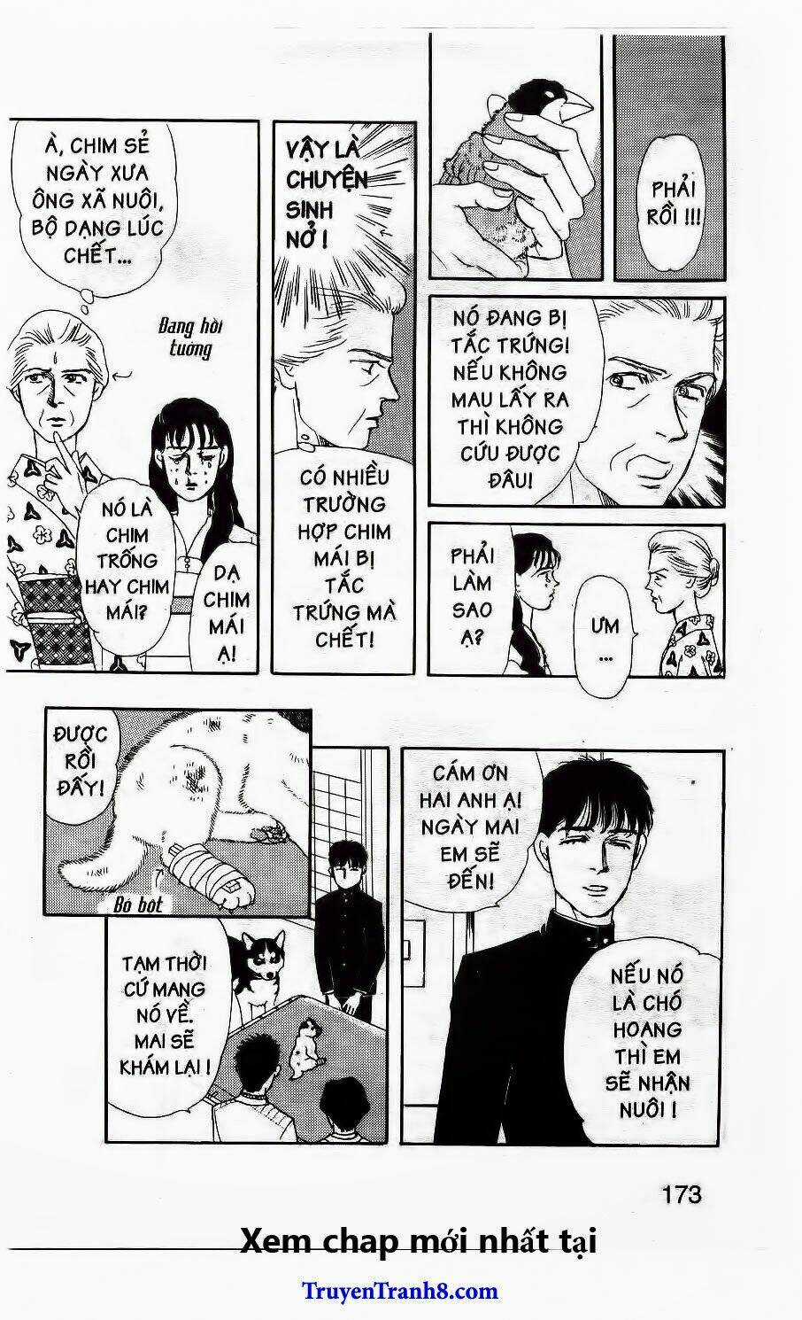 Bác Sĩ Thú Y - Chapter 32 - Trang 17
