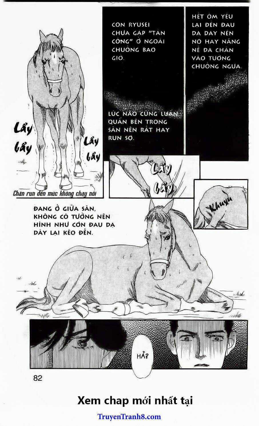 Bác Sĩ Thú Y - Chapter 37 - Trang 13