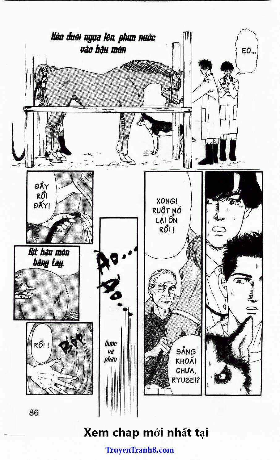 Bác Sĩ Thú Y - Chapter 37 - Trang 17