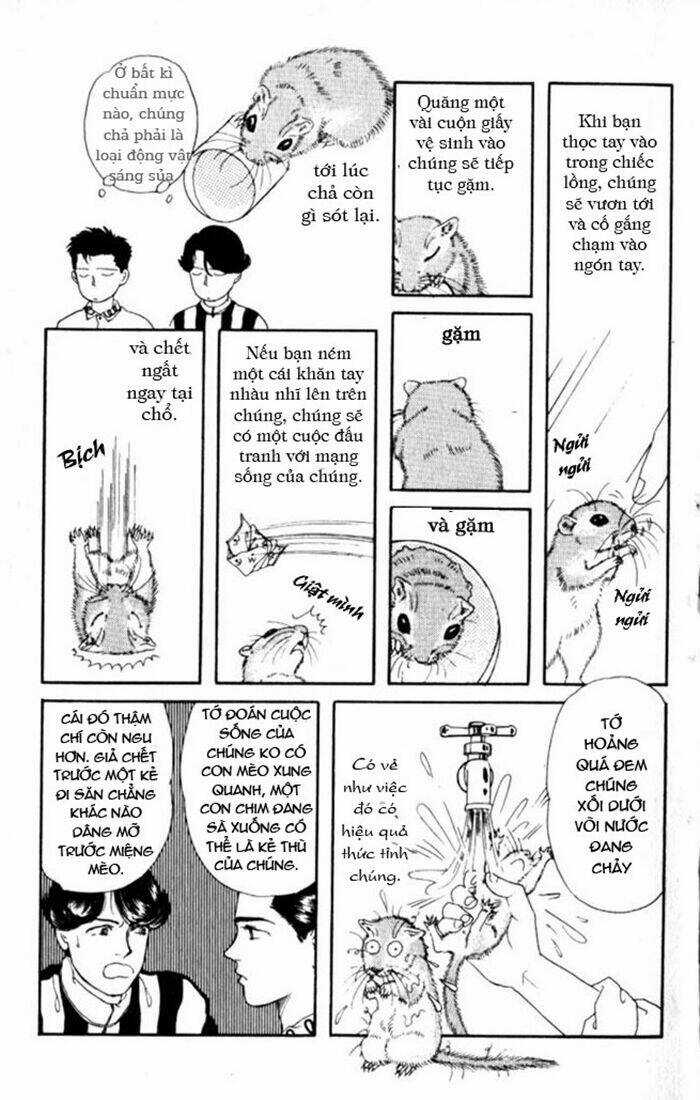 Bác Sĩ Thú Y - Chapter 4 - Trang 10