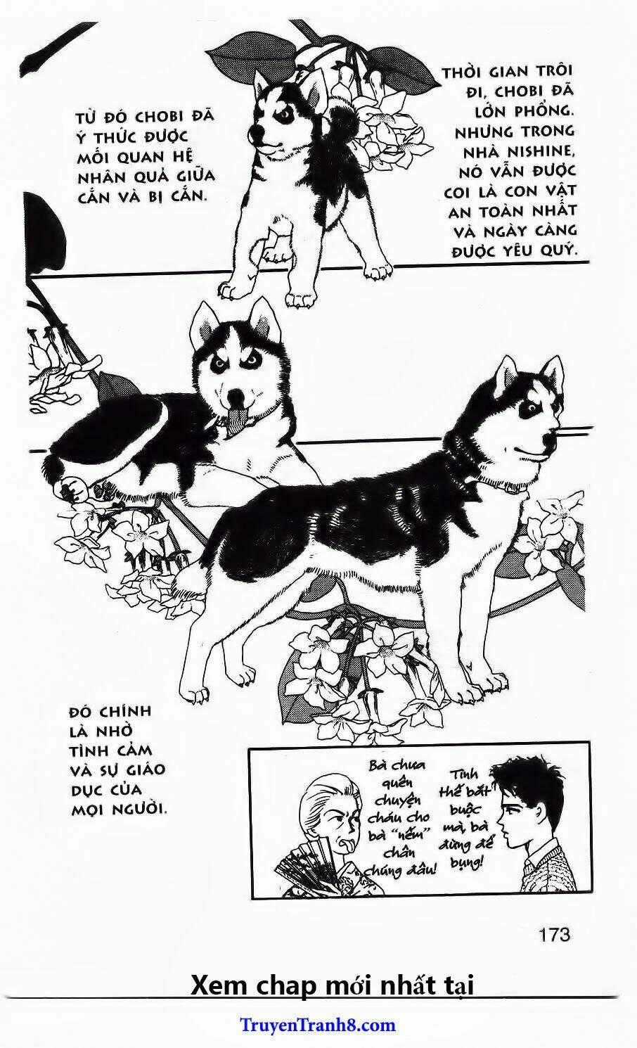 Bác Sĩ Thú Y - Chapter 42 - Trang 24