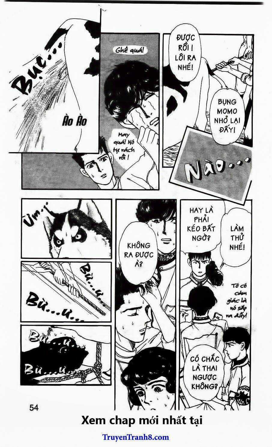 Bác Sĩ Thú Y - Chapter 46 - Trang 13