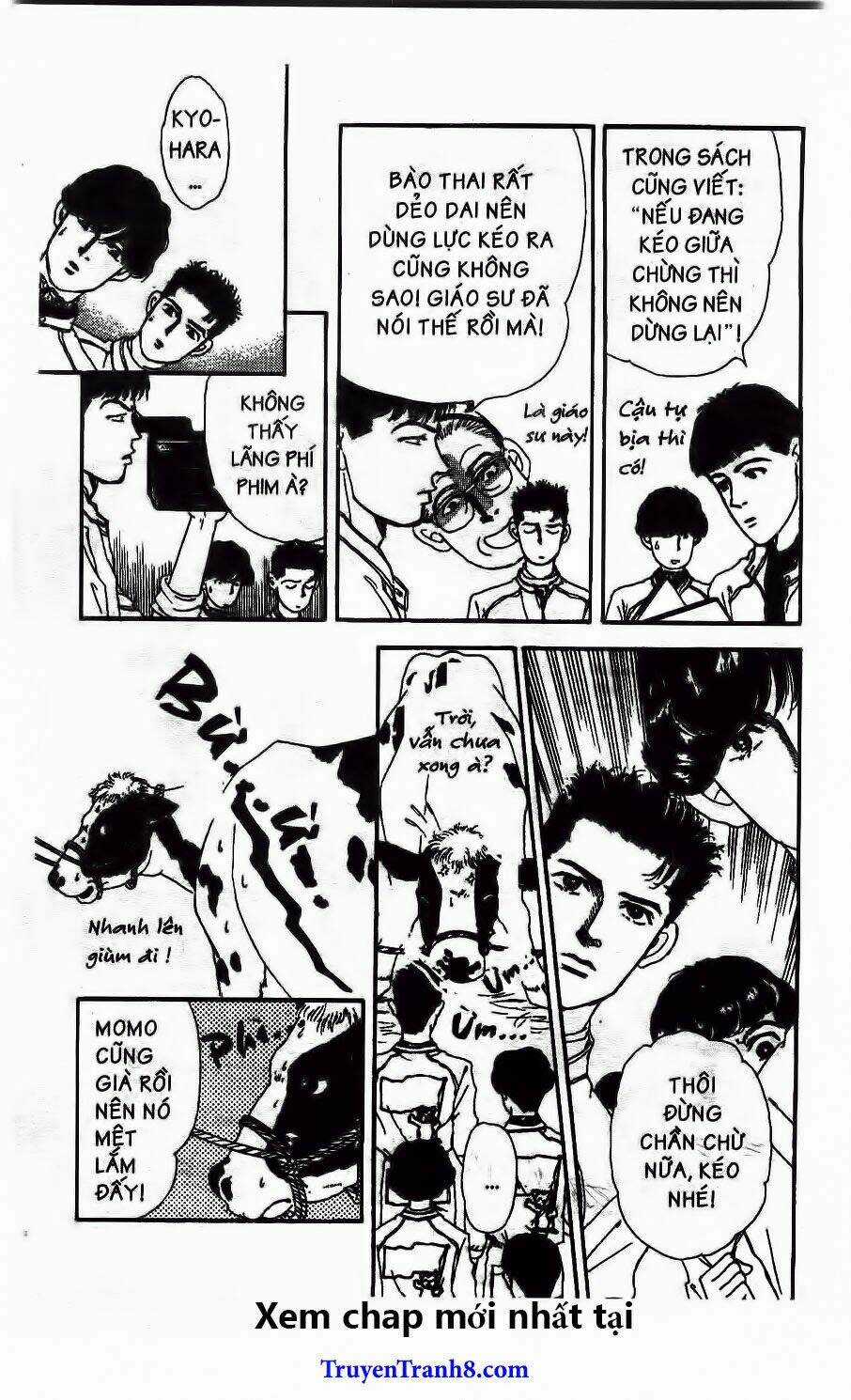 Bác Sĩ Thú Y - Chapter 46 - Trang 17