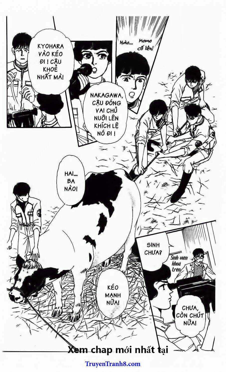 Bác Sĩ Thú Y - Chapter 46 - Trang 19