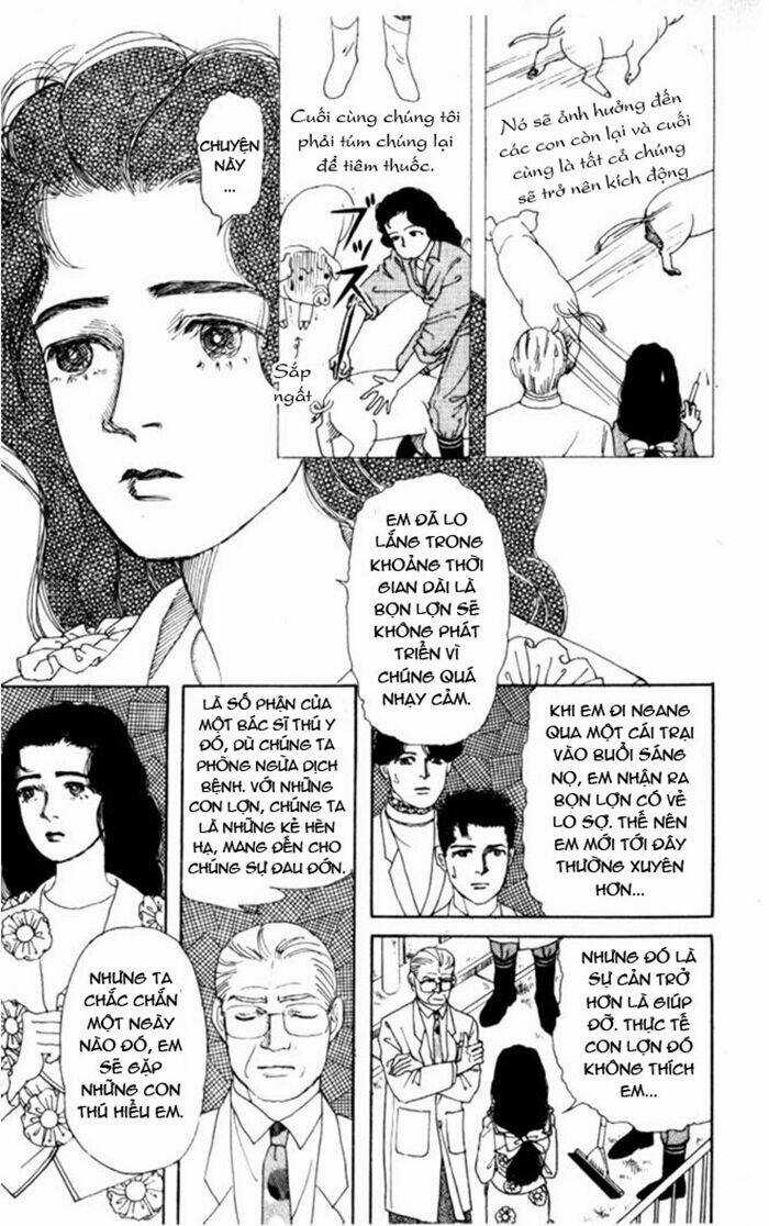 Bác Sĩ Thú Y - Chapter 5 - Trang 15