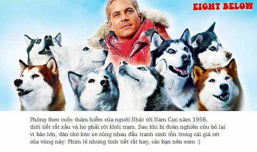 Bác Sĩ Thú Y - Chapter 5 - Trang 17